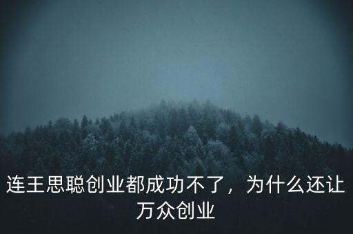 連王思聰創(chuàng)業(yè)都成功不了，為什么還讓萬眾創(chuàng)業(yè)