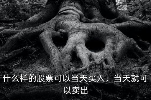 什么樣的股票可以當(dāng)天買入，當(dāng)天就可以賣出