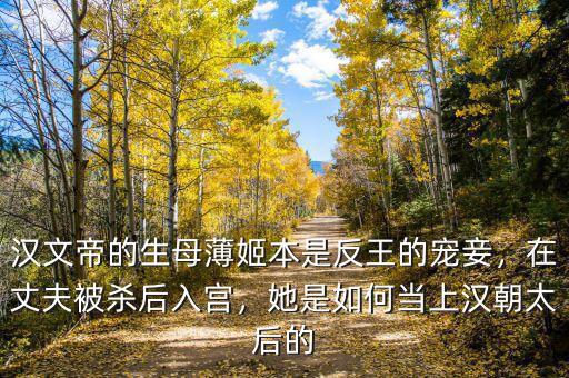 漢文帝的生母薄姬本是反王的寵妾，在丈夫被殺后入宮，她是如何當(dāng)上漢朝太后的