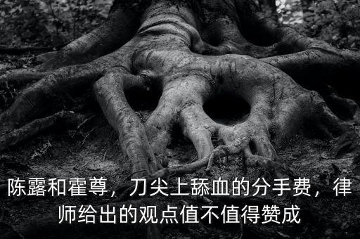 陳露和霍尊，刀尖上舔血的分手費(fèi)，律師給出的觀點(diǎn)值不值得贊成