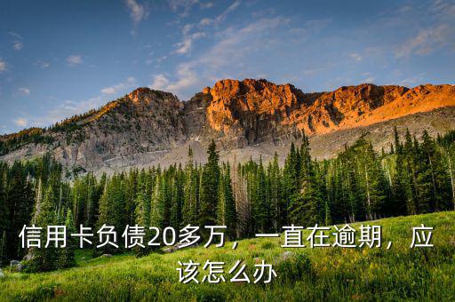 信用卡負(fù)債20多萬，一直在逾期，應(yīng)該怎么辦