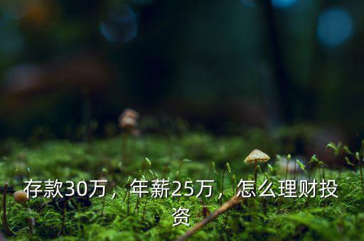 存款30萬(wàn)，年薪25萬(wàn)，怎么理財(cái)投資