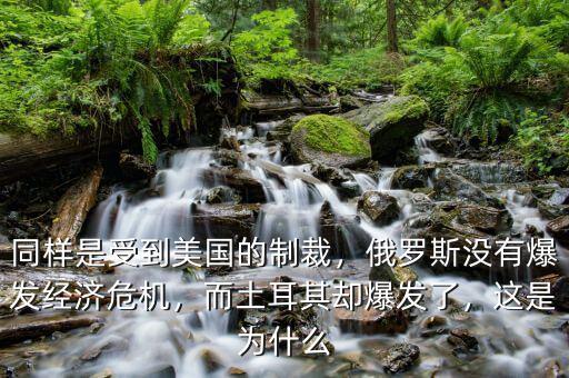 同樣是受到美國的制裁，俄羅斯沒有爆發(fā)經(jīng)濟(jì)危機(jī)，而土耳其卻爆發(fā)了，這是為什么