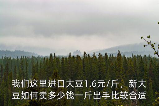 我們這里進(jìn)口大豆1.6元/斤，新大豆如何賣多少錢一斤出手比較合適