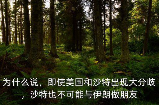 為什么說，即使美國和沙特出現(xiàn)大分歧，沙特也不可能與伊朗做朋友