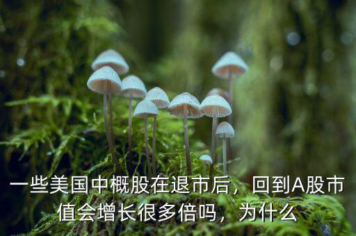 一些美國(guó)中概股在退市后，回到A股市值會(huì)增長(zhǎng)很多倍嗎，為什么