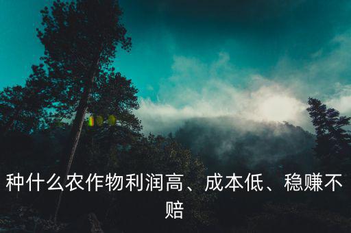 種什么農(nóng)作物利潤(rùn)高、成本低、穩(wěn)賺不賠