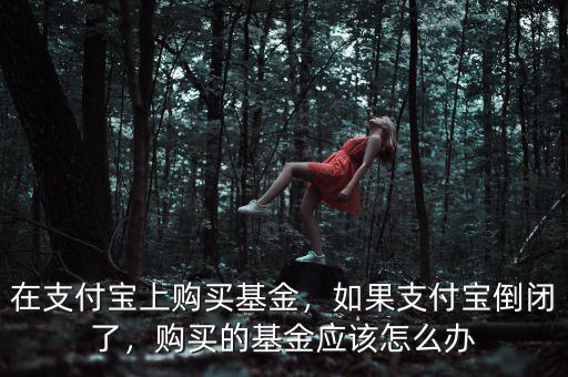 在支付寶上購買基金，如果支付寶倒閉了，購買的基金應(yīng)該怎么辦