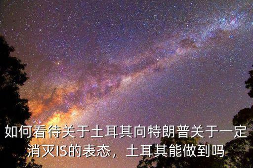 如何看待關(guān)于土耳其向特朗普關(guān)于一定消滅IS的表態(tài)，土耳其能做到嗎