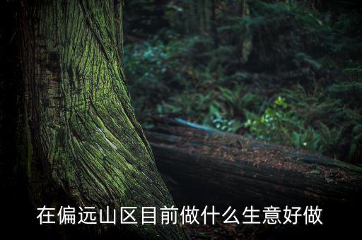 偏遠(yuǎn)城市做什么項(xiàng)目,可用5年。做什么項(xiàng)目好呢