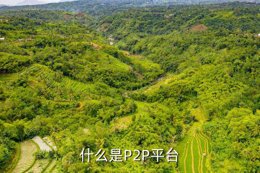 什么是城聯(lián)平臺,物聯(lián)網平臺的價值是什么