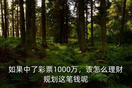 1000萬(wàn)怎么理財(cái),1000萬(wàn)不買房怎么理財(cái)