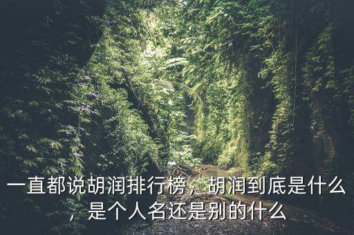 一直都說(shuō)胡潤(rùn)排行榜，胡潤(rùn)到底是什么，是個(gè)人名還是別的什么