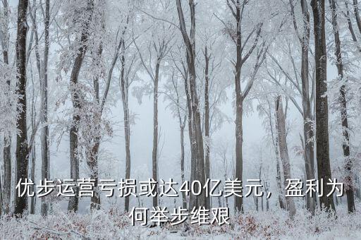 優(yōu)步運營虧損或達40億美元，盈利為何舉步維艱