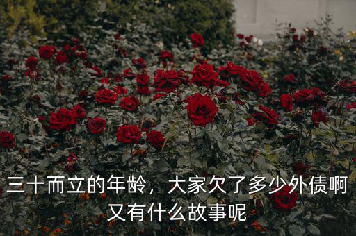 三十而立的年齡，大家欠了多少外債啊又有什么故事呢
