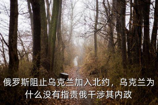 俄羅斯阻止烏克蘭加入北約，烏克蘭為什么沒有指責(zé)俄干涉其內(nèi)政