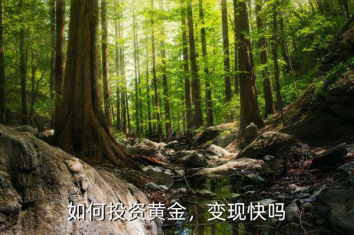 如何投資黃金，變現(xiàn)快嗎
