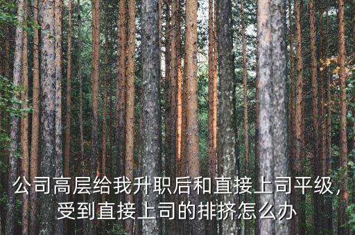 公司高層給我升職后和直接上司平級，受到直接上司的排擠怎么辦