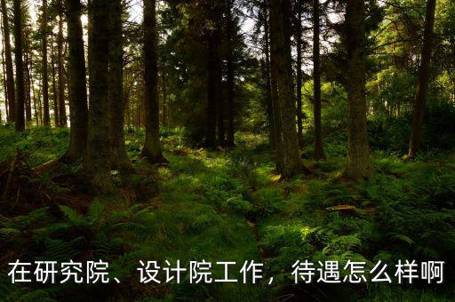 在研究院、設計院工作，待遇怎么樣啊
