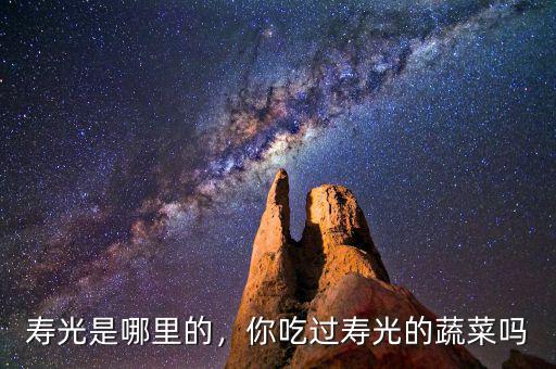 壽光是哪里的，你吃過壽光的蔬菜嗎