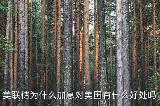 美聯(lián)儲(chǔ)為什么加息對美國有什么好處嗎