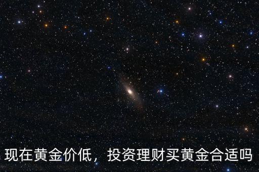 現(xiàn)在黃金價(jià)低，投資理財(cái)買黃金合適嗎