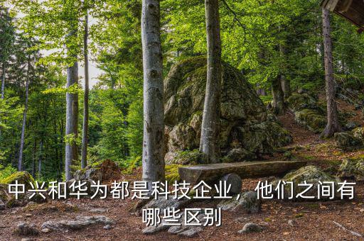 中興和華為都是科技企業(yè)，他們之間有哪些區(qū)別