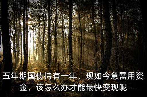 五年期國(guó)債持有一年，現(xiàn)如今急需用資金，該怎么辦才能最快變現(xiàn)呢