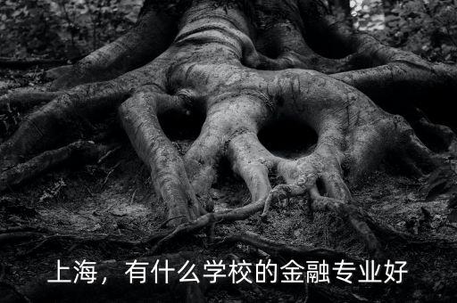 上海，有什么學(xué)校的金融專業(yè)好
