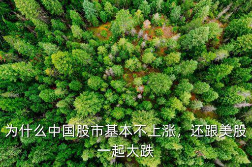 為什么中國(guó)股市基本不上漲，還跟美股一起大跌
