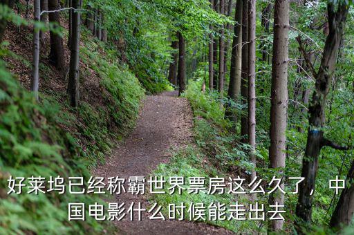 好萊塢已經(jīng)稱霸世界票房這么久了，中國電影什么時(shí)候能走出去