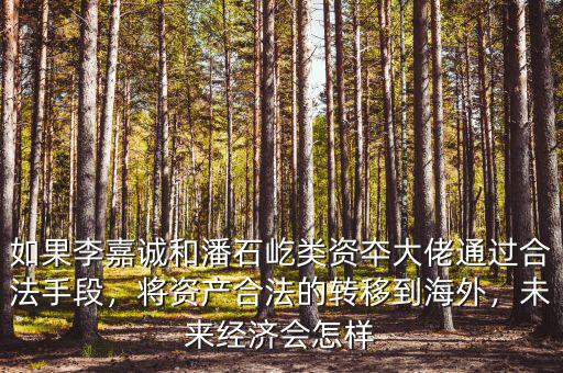 如果李嘉誠和潘石屹類資夲大佬通過合法手段，將資產(chǎn)合法的轉(zhuǎn)移到海外，未來經(jīng)濟(jì)會(huì)怎樣