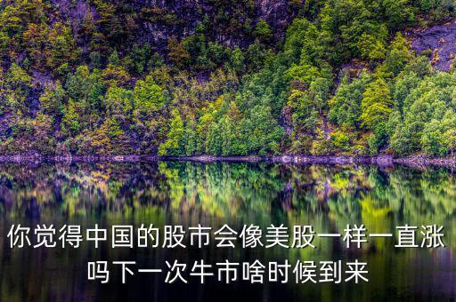 你覺得中國的股市會像美股一樣一直漲嗎下一次牛市啥時(shí)候到來