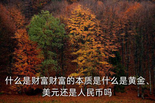 什么是財(cái)富財(cái)富的本質(zhì)是什么是黃金、美元還是人民幣嗎