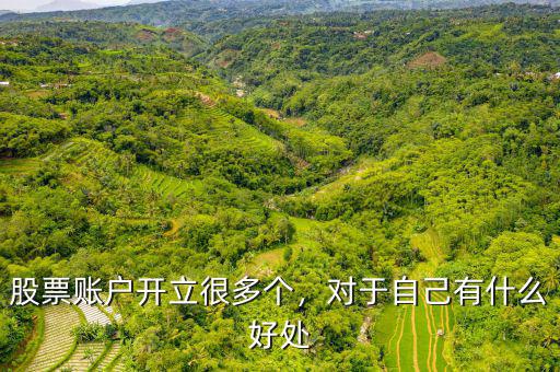股票賬戶開(kāi)立很多個(gè)，對(duì)于自己有什么好處