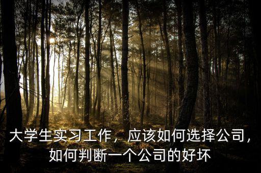 大學(xué)生實(shí)習(xí)工作，應(yīng)該如何選擇公司，如何判斷一個(gè)公司的好壞