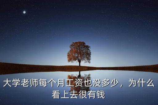 大學(xué)老師每個(gè)月工資也沒(méi)多少，為什么看上去很有錢(qián)