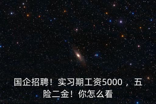 國(guó)企招聘！實(shí)習(xí)期工資5000 ，五險(xiǎn)二金！你怎么看