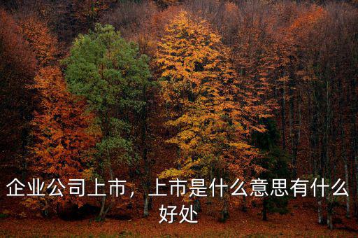 企業(yè)公司上市，上市是什么意思有什么好處
