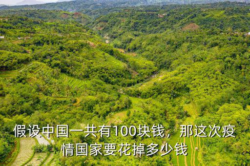 假設(shè)中國一共有100塊錢，那這次疫情國家要花掉多少錢