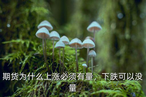 期貨為什么上漲必須有量，下跌可以沒量