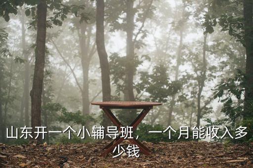 山東開(kāi)一個(gè)小輔導(dǎo)班，一個(gè)月能收入多少錢(qián)