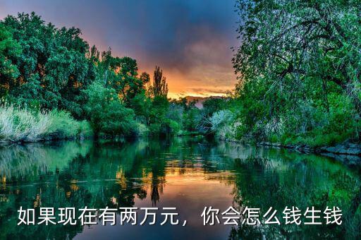 如果現(xiàn)在有兩萬元，你會怎么錢生錢