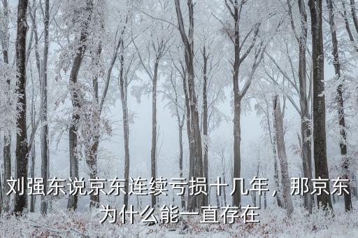 劉強(qiáng)東說京東連續(xù)虧損十幾年，那京東為什么能一直存在