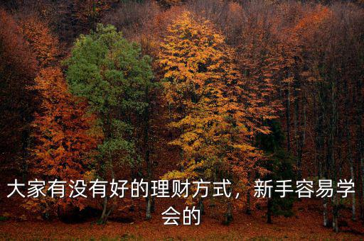 大家有沒有好的理財方式，新手容易學會的