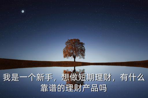 我是一個(gè)新手，想做短期理財(cái)，有什么靠譜的理財(cái)產(chǎn)品嗎
