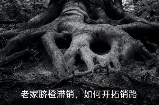 老家臍橙滯銷，如何開拓銷路