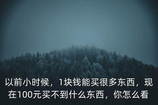 以前小時候，1塊錢能買很多東西，現(xiàn)在100元買不到什么東西，你怎么看