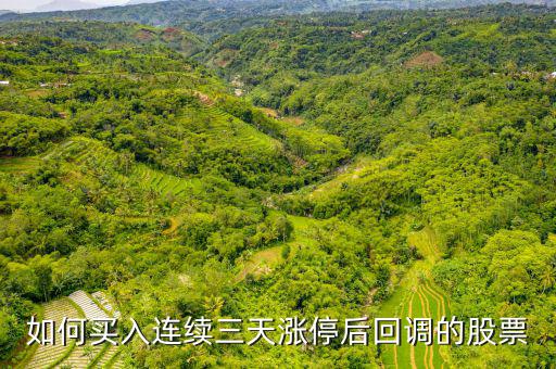 如何買入連續(xù)三天漲停后回調的股票