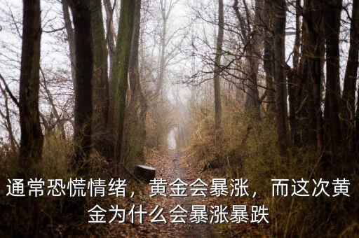 通常恐慌情緒，黃金會(huì)暴漲，而這次黃金為什么會(huì)暴漲暴跌